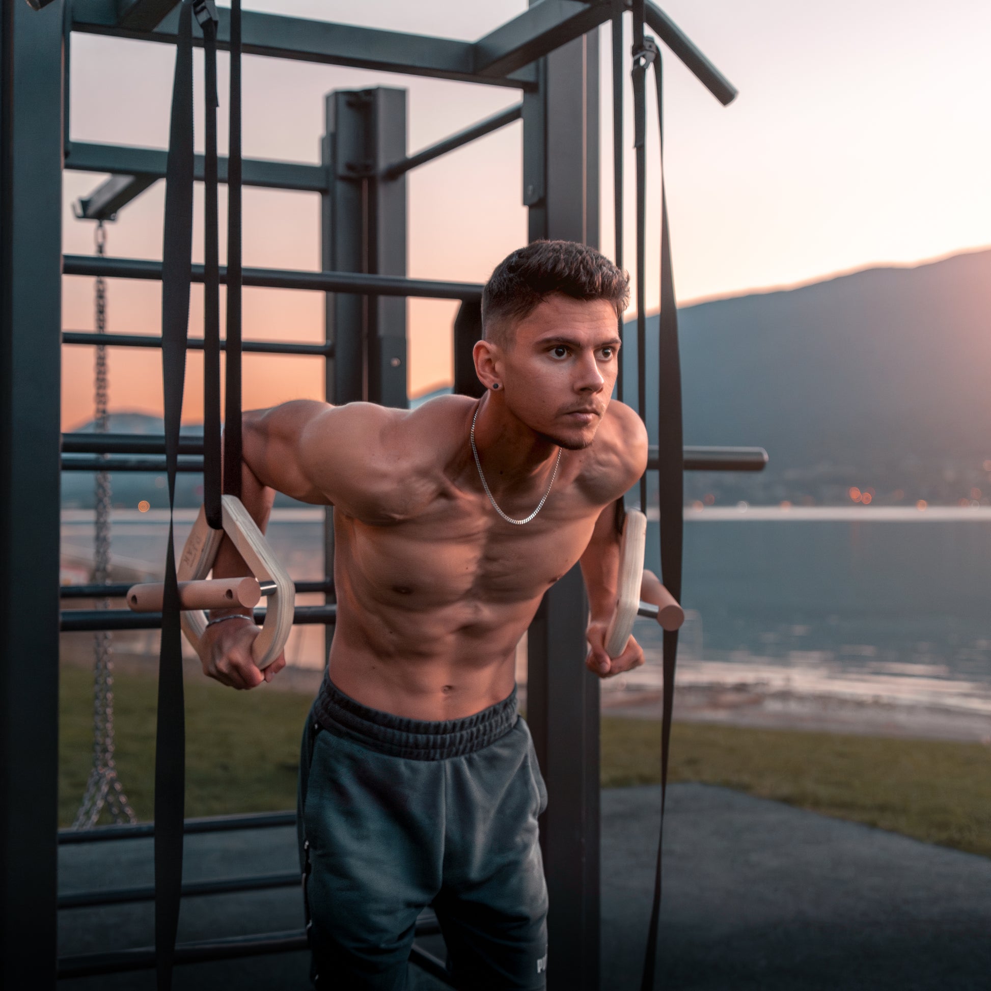 Wooden gymnastic rings parallettes - detail shot showing ring design